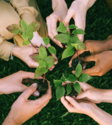 900 nuovi alberi a Parma per un futuro sempre più verde